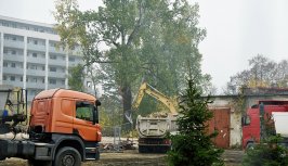 Powiększ obraz:Budowa szpitala w Legionowie - październik 2019 - Zdjęcie nr9