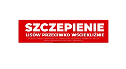 Szczepienie lisów przeciwko wściekliźnie