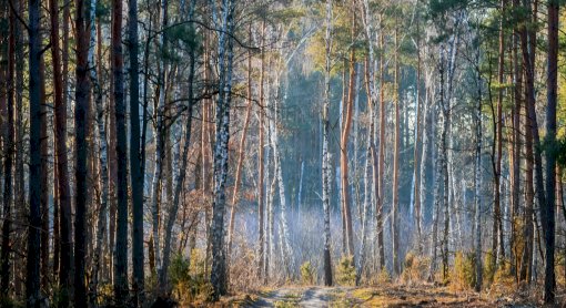 Fotograficzny finał