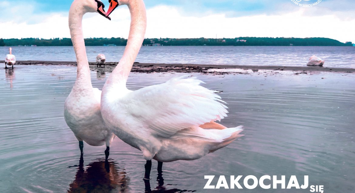 Zakochaj się w Jeziorze Zegrzyńskim