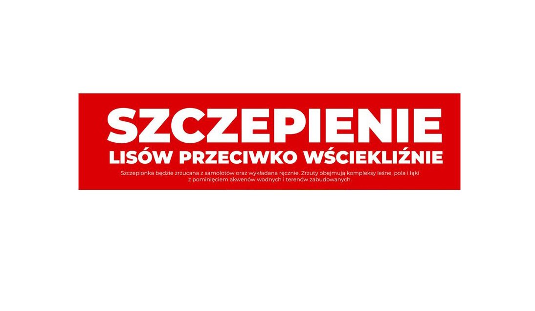 Biały napis na czerwonym tle. Szczepienie lisów przeciwko wsciekliźnie.