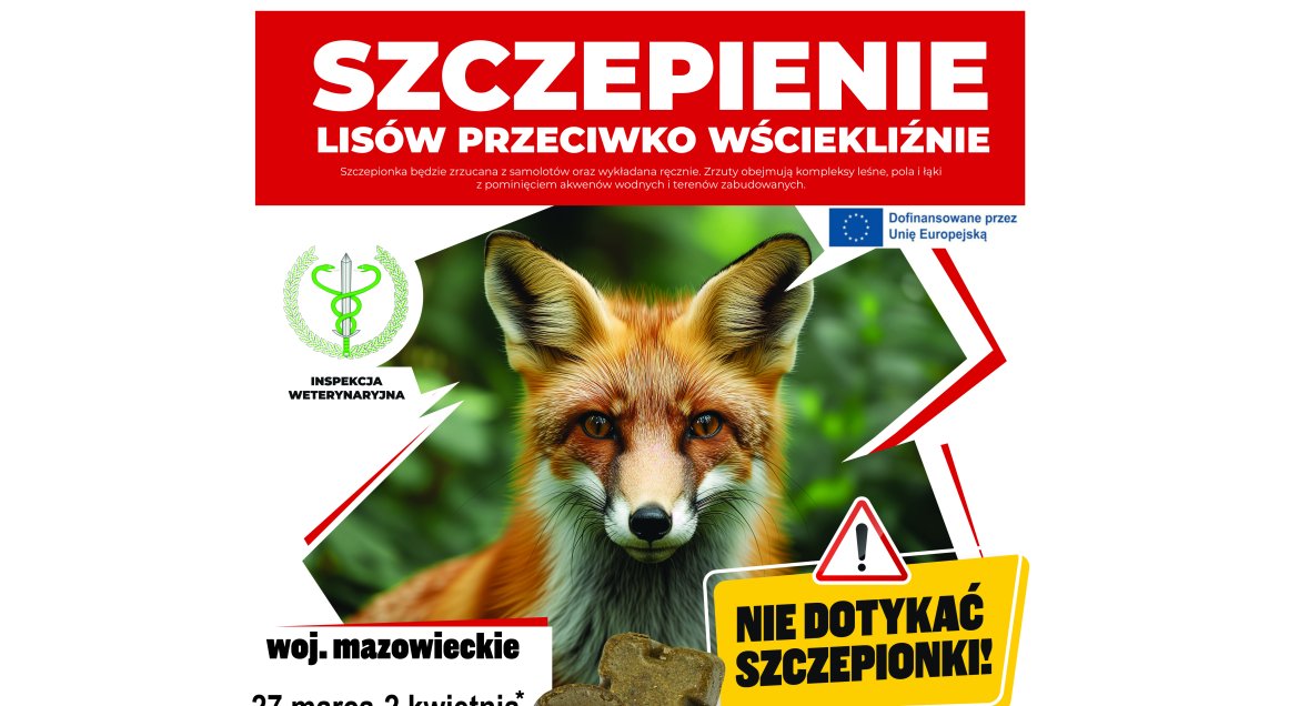 plakat przedstawia lisa a nad nim biały napis na czerwonym tle „Szczepienie lisów przeciwko wściekliźnie".