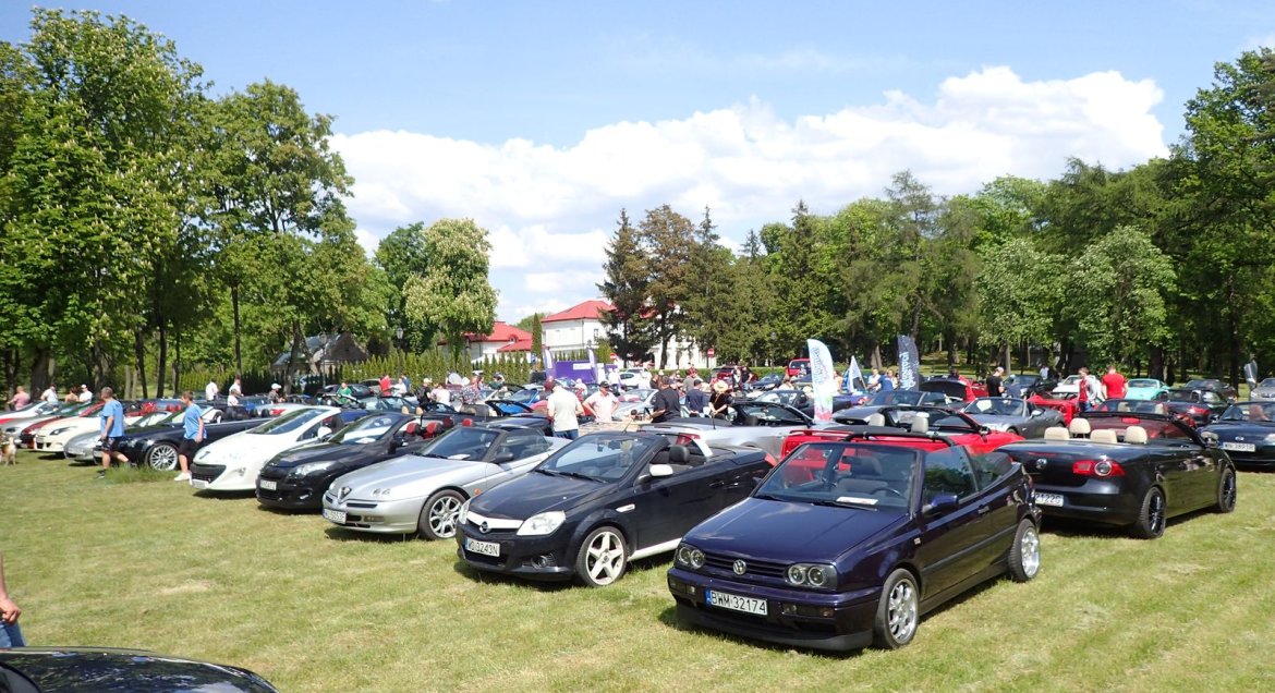 Samochody typu cabriolet ustawione na łące