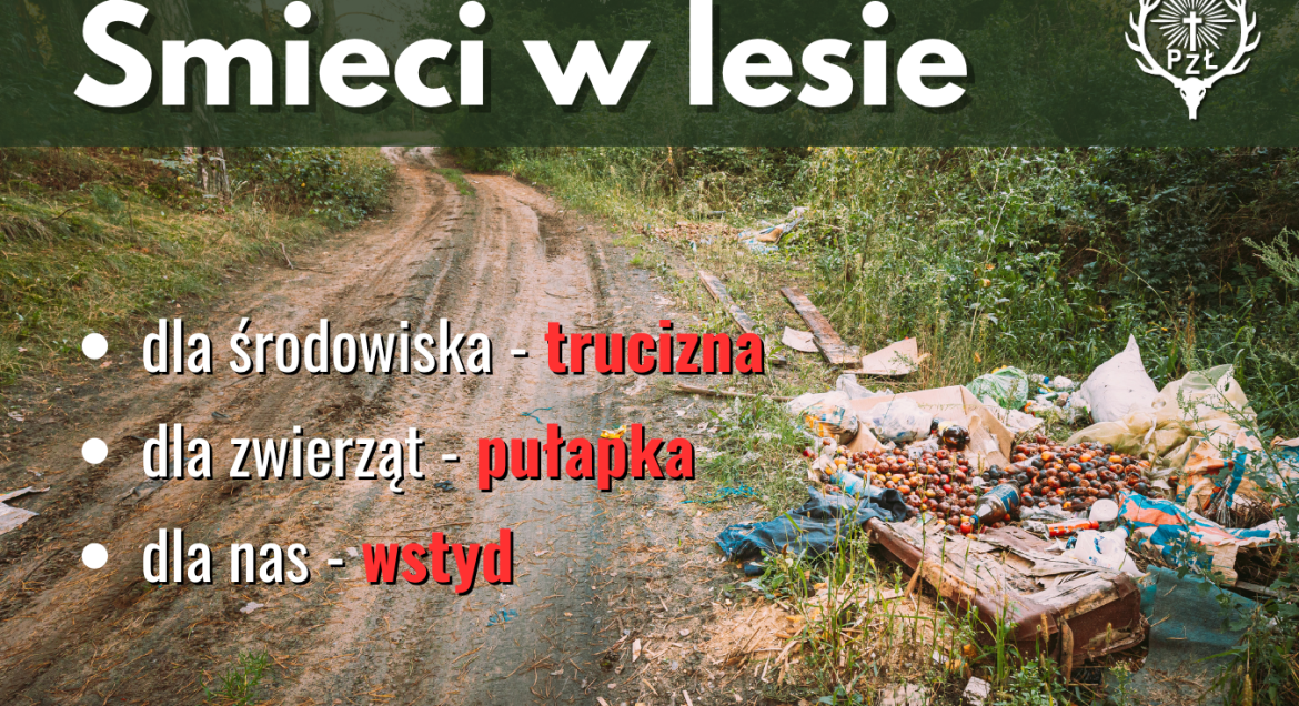 Plakat kampanii informacyjnej na temat nieśmiecenia w lesie