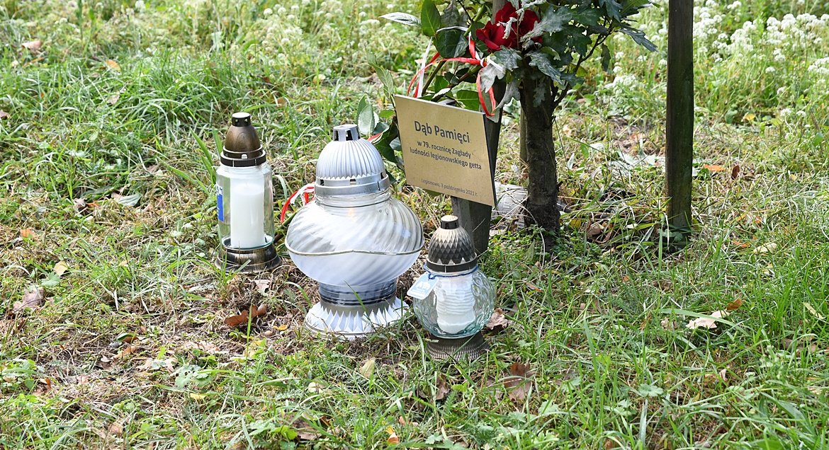 Na zdjęciu znicze pod Dębem Pamięci