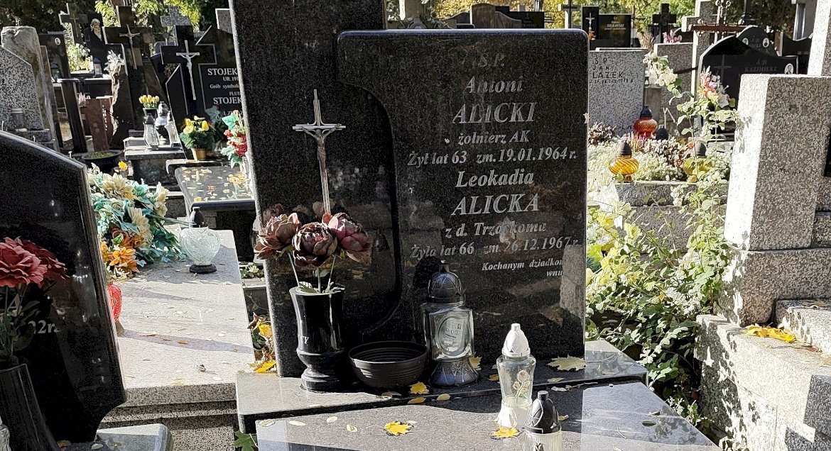 Zdjęcie nagrobka, gdzie pochowany jest zołnierz AK Antoni Alicki