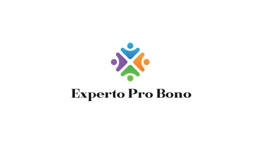 grafika z logotypem Fundacji Experto Pro Bono