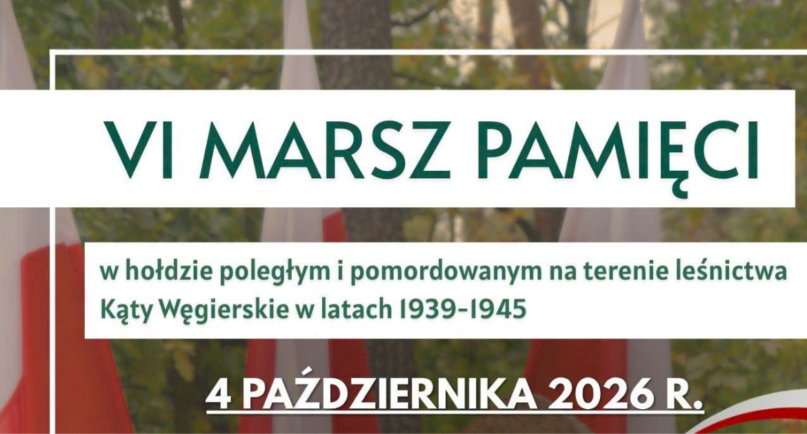 Plakat z zielonym tłem i flagami polskimi oraz dużym tytułem wydarzenia VI Marsz Pamięci