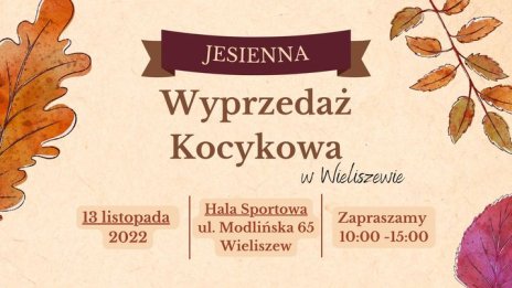 Jesienna Wyprzedaż Kocykowa