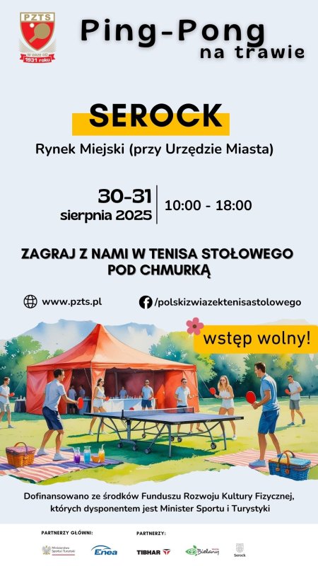 Na zdjęciu grafika letnich rozgrywek w ping ponga