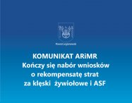 ARiMR: Kończy się nabór wniosków o rekompensatę strat za klęski  żywiołowe i ASF