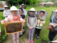 Kurs dla początkujących pszczelarzy