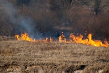 Wypalanie traw i nieużytków rolnych niebezpieczne i karalne