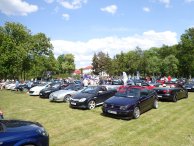 Samochody typu cabriolet ustawione na łące