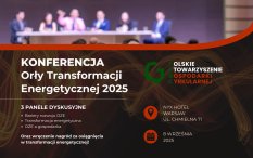 Plakat zawierający informacje o wydarzeniu.  Te informacje są podane w aktualności.