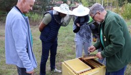 Na zdjęciu widać grupę osób przy ulu. Jedna z nich, ubrana w zieloną kurtkę, trzyma ramkę z pszczołami i pokazuje ją pozostałym. Dwóch uczestników ma na głowach ochronne kapelusze pszczelarskie