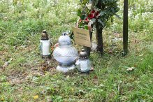 Na zdjęciu znicze pod Dębem Pamięci