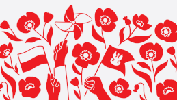 Grafika z białym tłem i  czerwonymi makami oraz flagą biało-czerwoną
