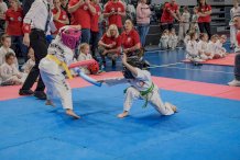 Na zdjęciu młodzi zawodnicy Taekwondo na macie