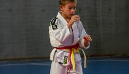 Powiększ obraz:Memoriał Wojciecha Augustynowicza - Ogólnopolski Turniej Judo - Zdjęcie nr8