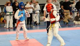 Powiększ obraz:Zawody karate o Puchar Makroregionu Wschodniego OYAMA PFK - Zdjęcie nr8