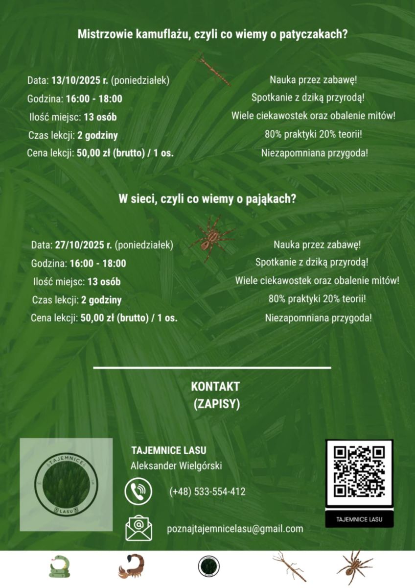 Plakat przedstawiający częśc zajęć dla dzieci w wieku od 5 - 10 lat pt. 