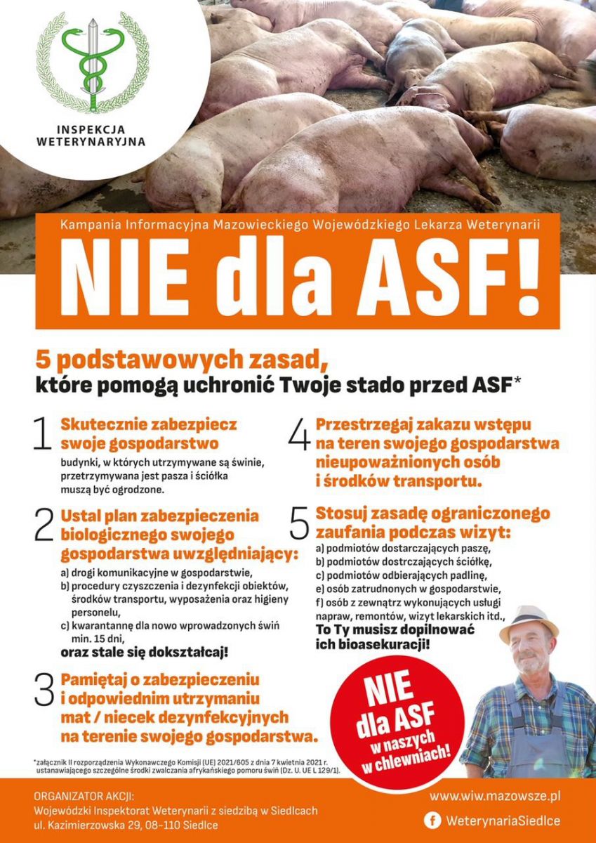 Mazowiecki Wojewódzki Lekarz Weterynarii prowadzi kampanię informacyjną „Nie dla ASF! 5 podstawowych zasad, które pomogą uchronić Twoje stado przed ASF” mającą na celu wzmocnienie ochrony gospodarstw rolnych utrzymujących trzodę chlewną przed wniknięciem wirusa afrykańskiego pomoru świń.