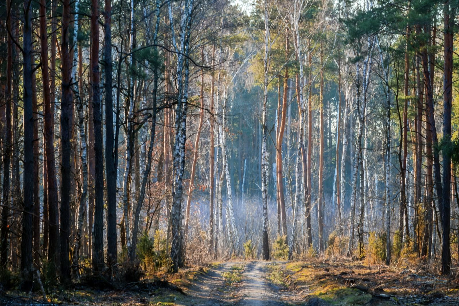Zdjęcie I miejsce Zbigniew Żarna