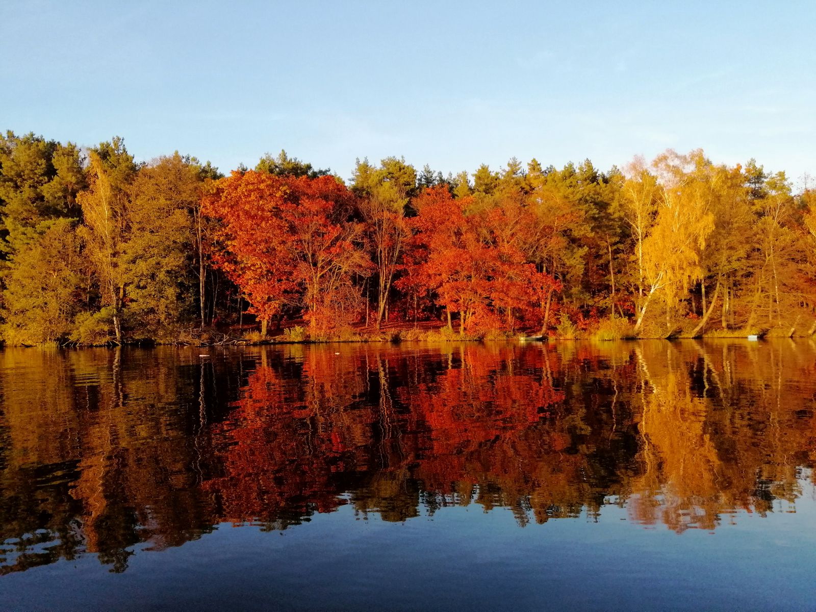 Wyróżnienie – Jan Urbańczyk
