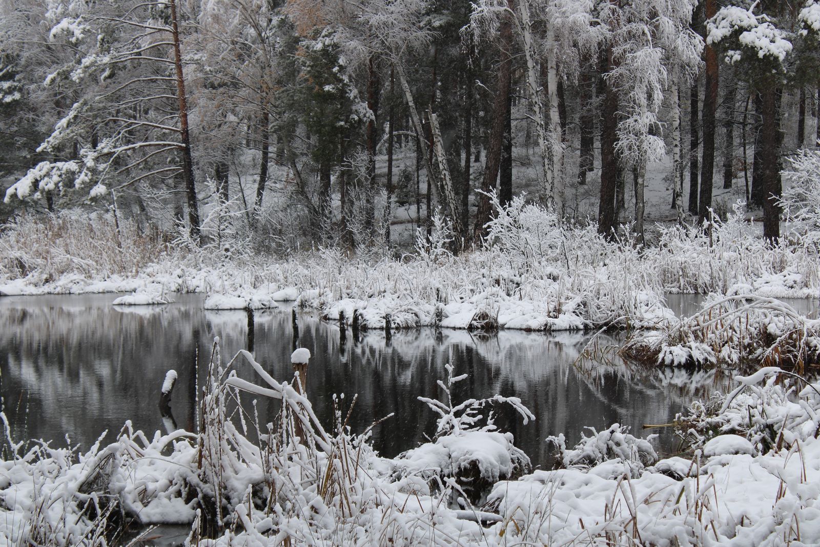 II miejsce – Joanna Tyczyńska
