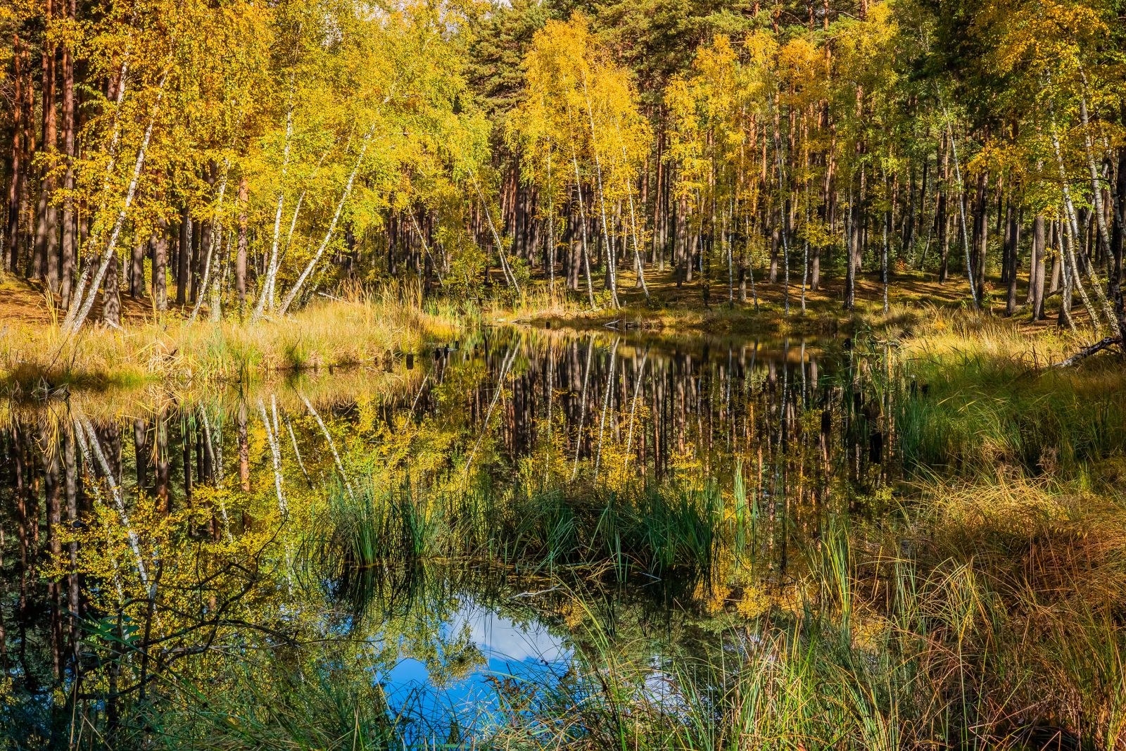 III miejsce – Szymon Staniec